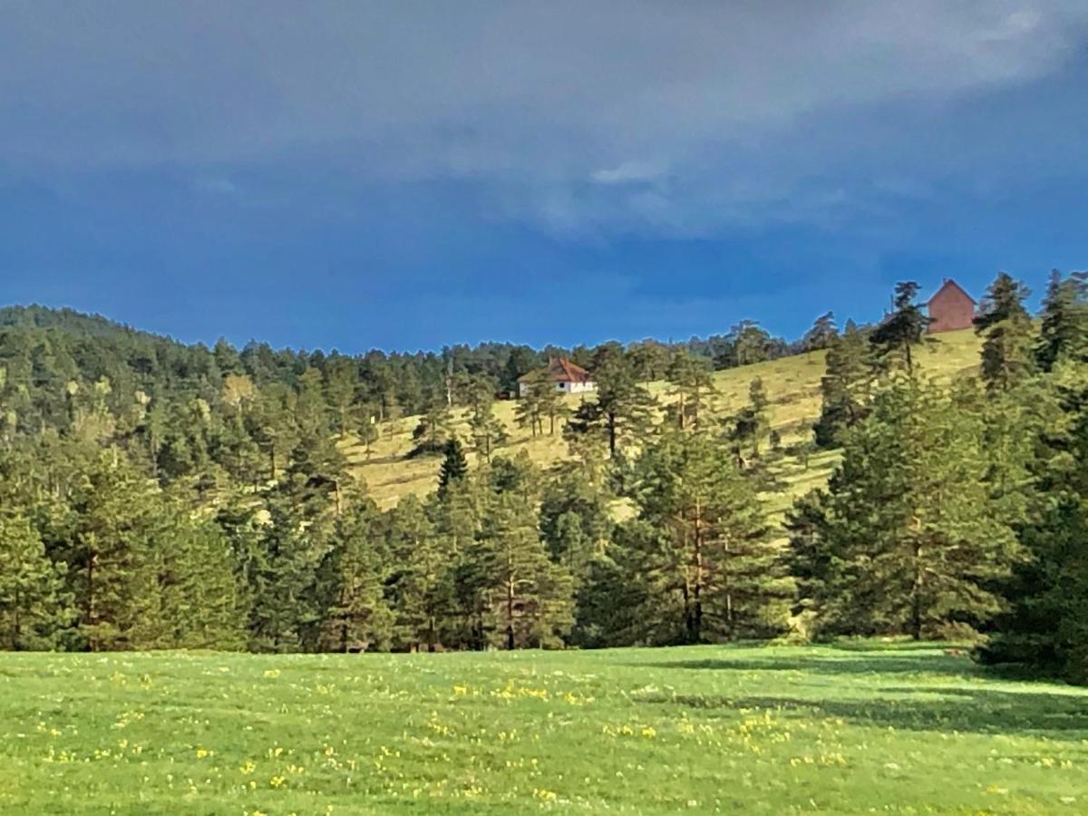 Vikendica Stojanovic Villa Mionica Bagian luar foto