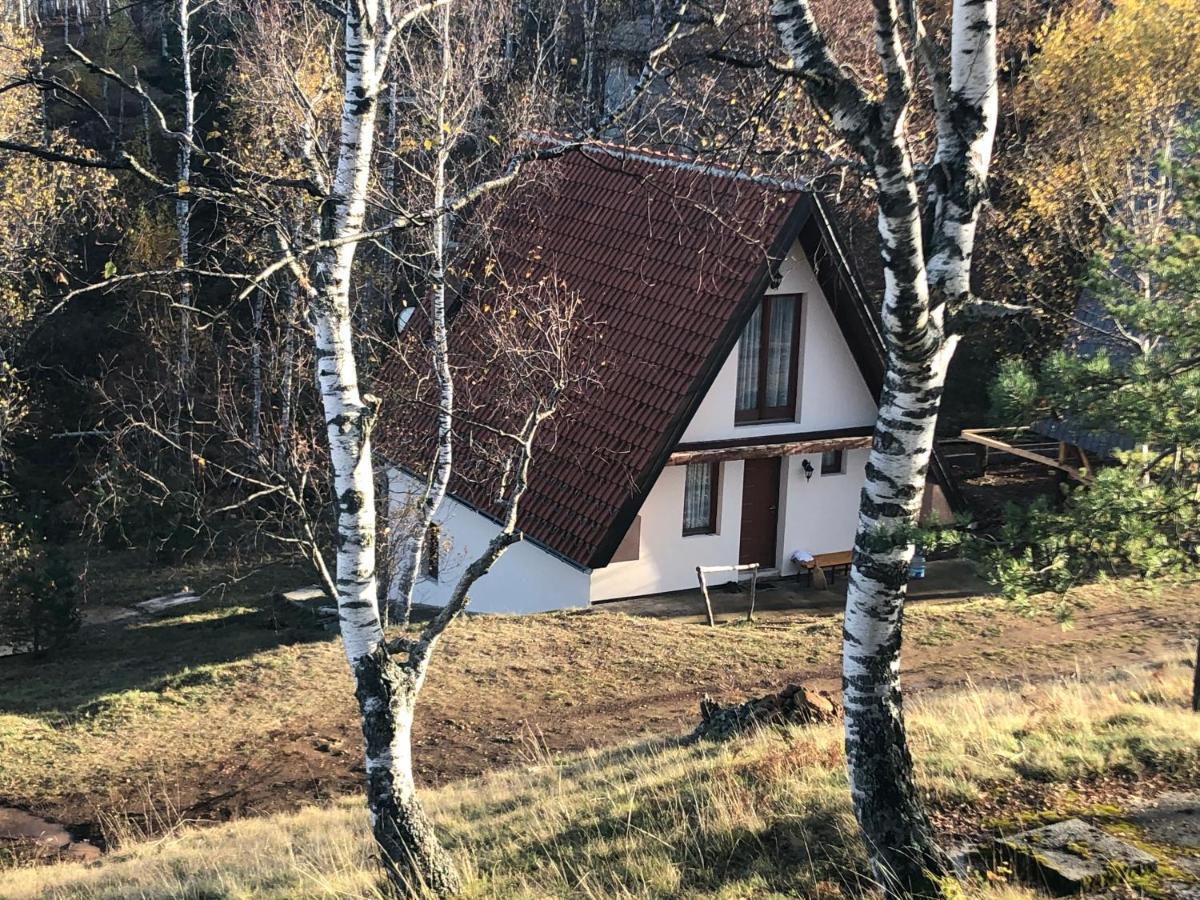 Vikendica Stojanovic Villa Mionica Bagian luar foto